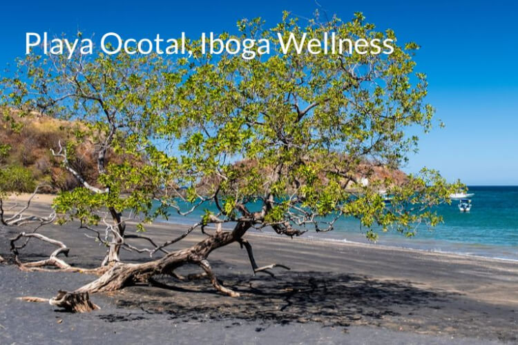 Iboga Wellness Center Costa Rica