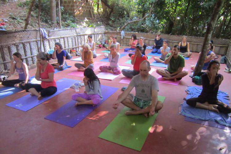 Namaste Yoga Farm India