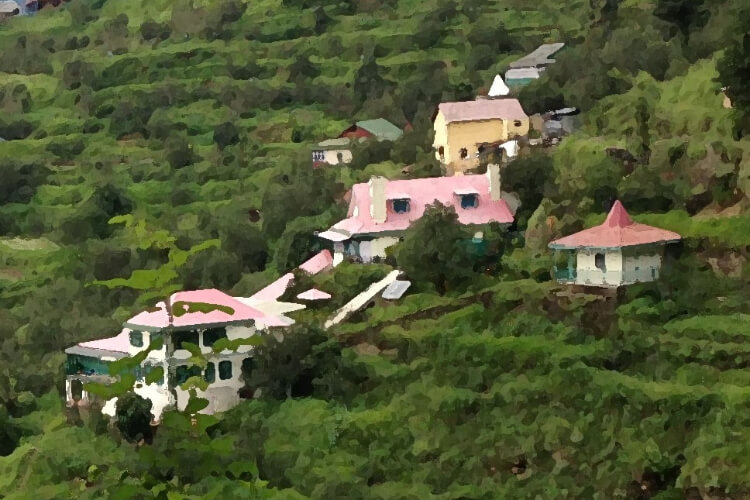  Shimla