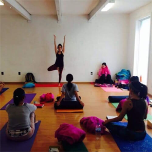 Kashmir Shaivism School of Yoga 