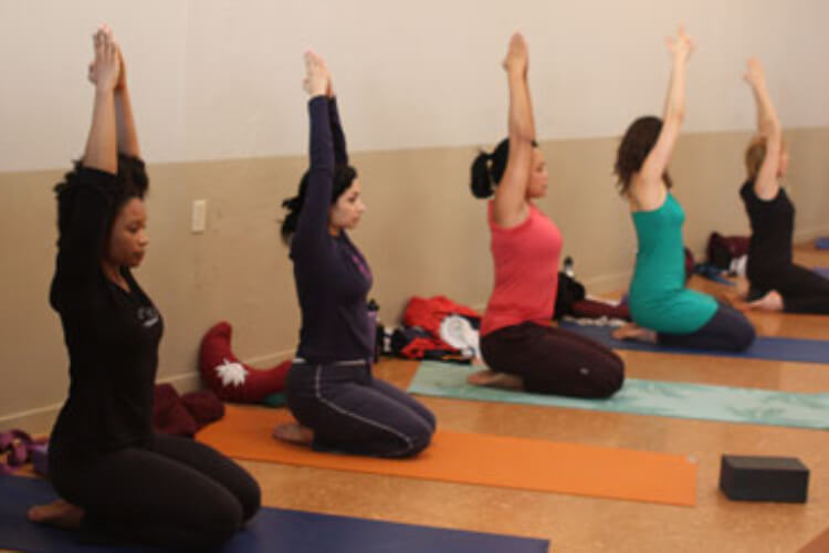Sadhana Yoga Foundation Image