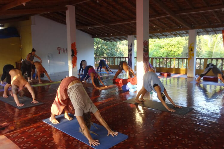 Ruh Yoga School India
