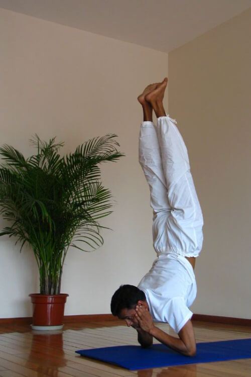 Yoga life homesta Ernakulam
