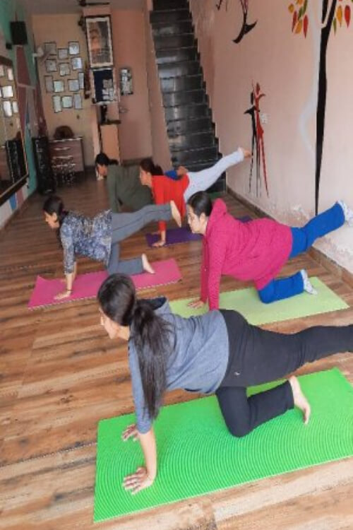 Exert Yoga Studios Mohali