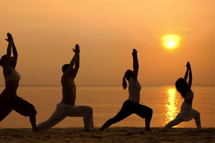 The Yoga Guru India