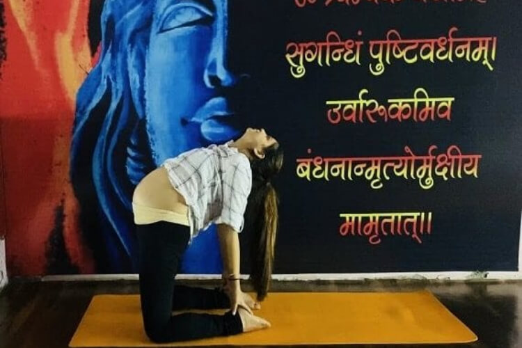 Spiritual Yoga Alliance 