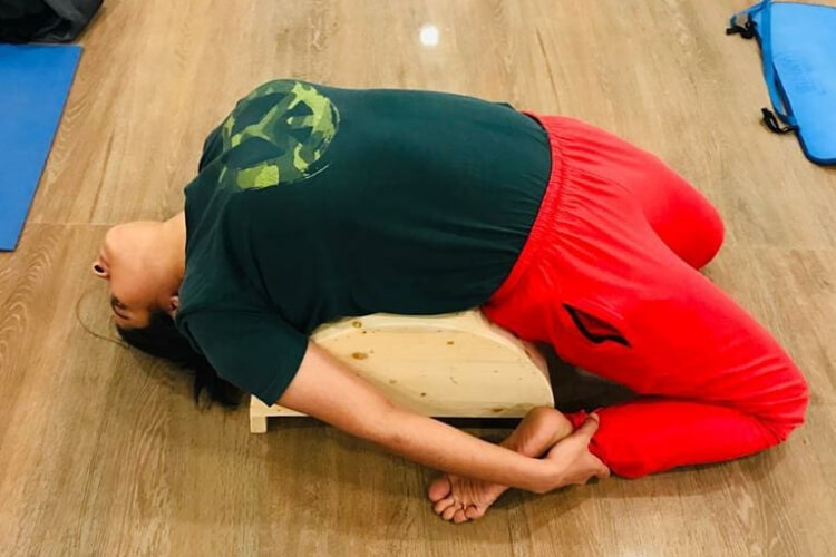 Veena Yoga Kendra India