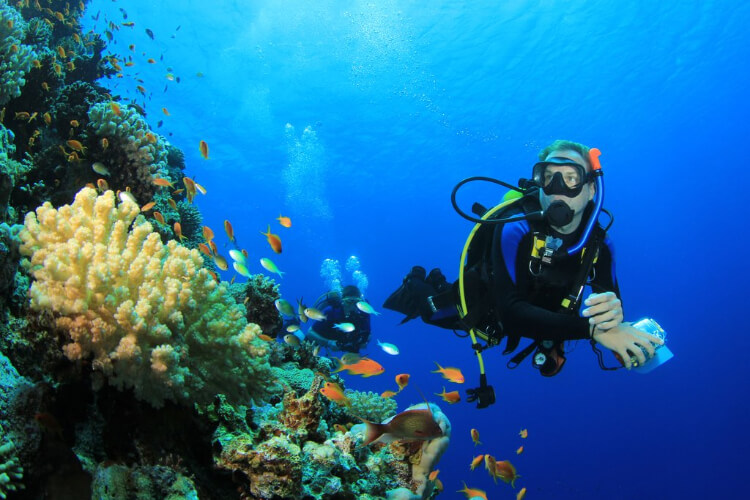 Amed White Sand Divers Image
