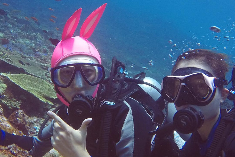 Bajo Dive Club Indonesia