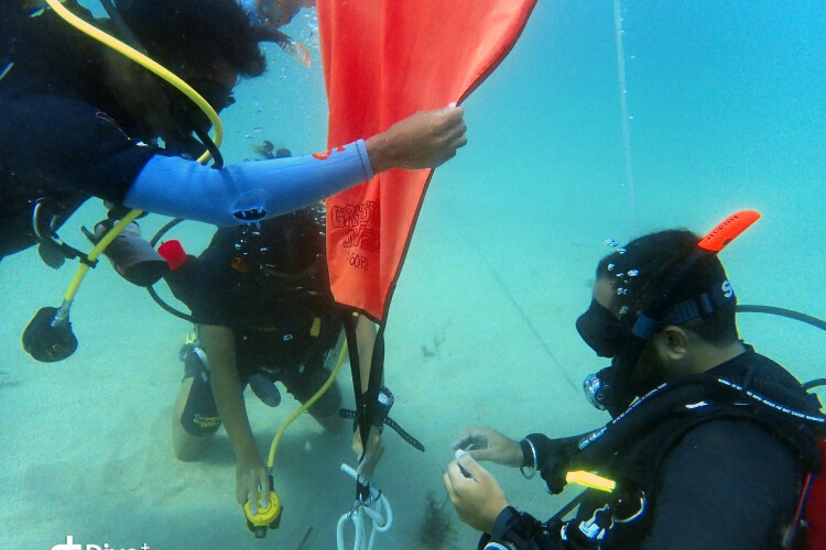Bali Crystal Divers