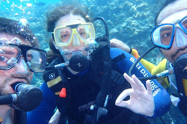 Bali Diving Academy - Pemuteran Image