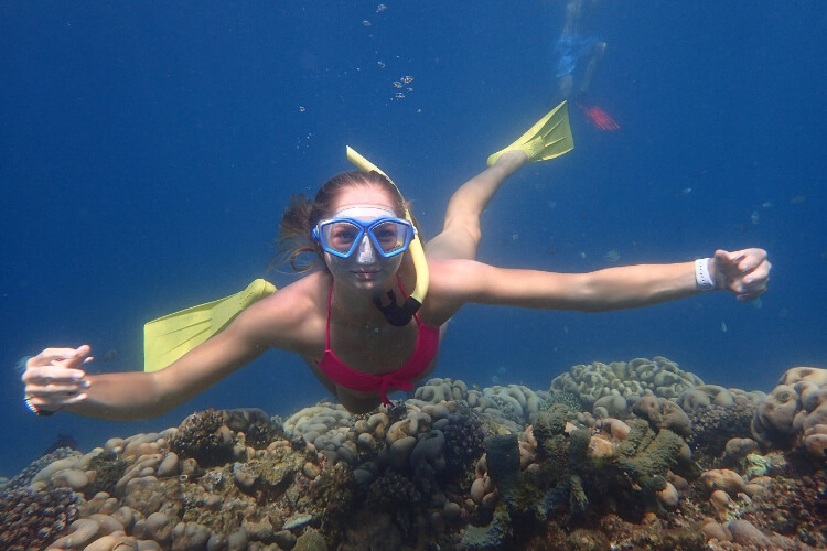 Bali Diving Academy - Pemuteran 