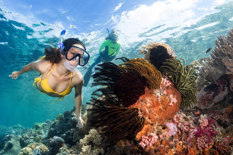 Wakatobi Dive Resort Image