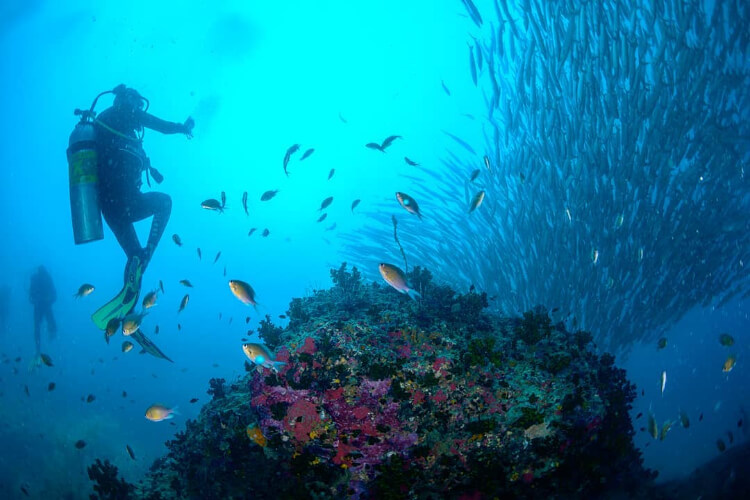 Silent Divers Thailand