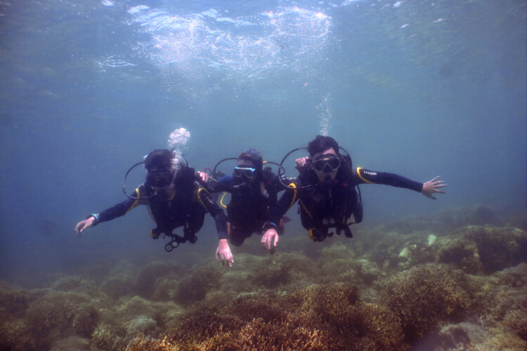 Magic Island Dive Resort Philippines