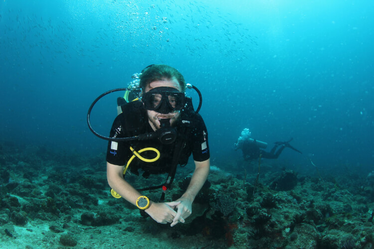 Bigfin Divers Kota Belud