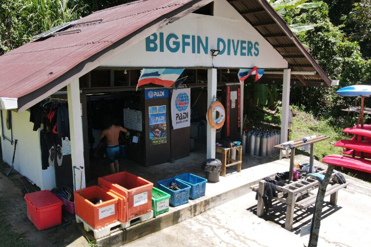 Bigfin Divers 