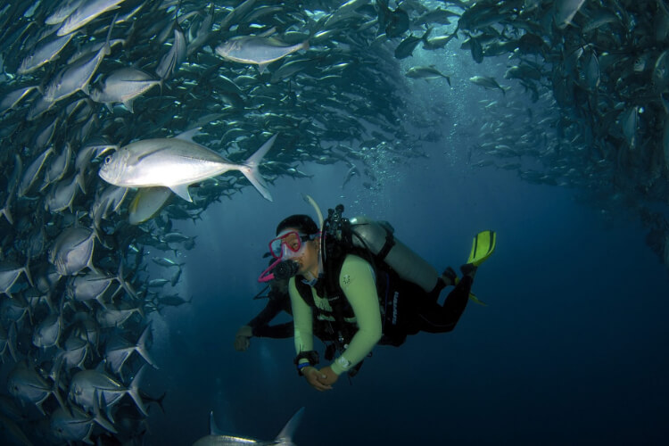 Borneo Divers & Sea Sports - Sabah Malaysia