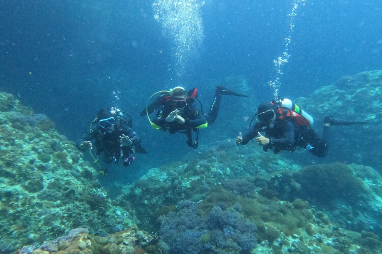Malpascua Exotic Island Dive Resort 