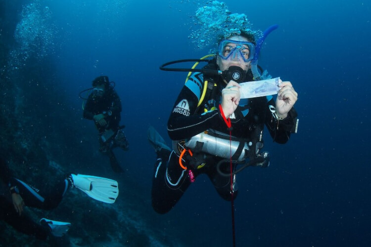 Neptune Diving Resort Moalboal Cebu