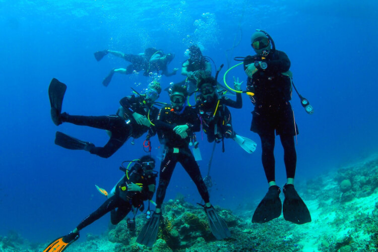 Neptune Diving Resort Moalboal Image