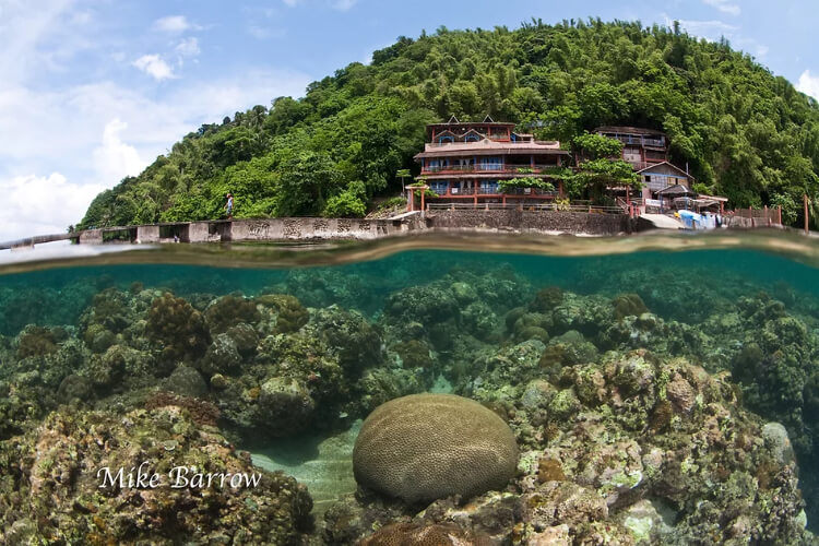 Portulano Dive Resort Iloilo