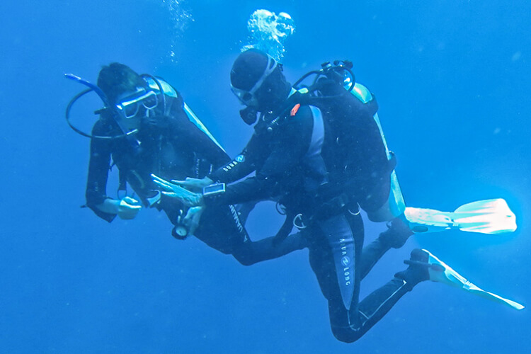Wellbeach Dive Resort Philippines