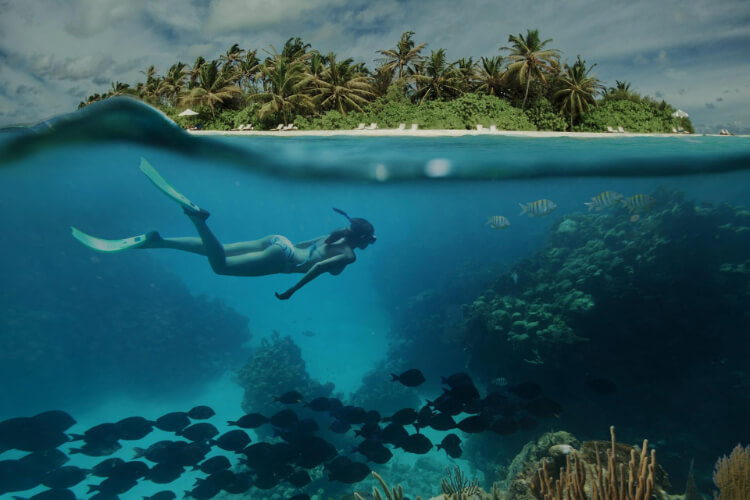 Aquaventure Dive Center Maldives