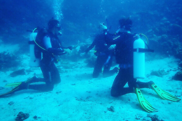 Noohiri Diving & Water Sport Center Maldives