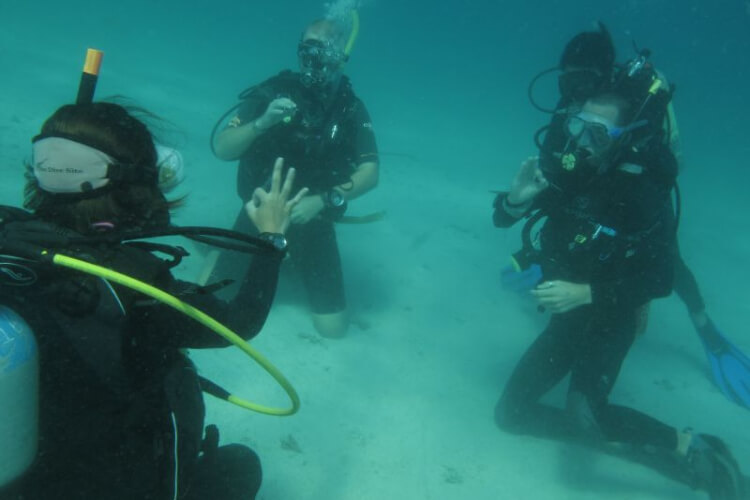 Quiver Dive Team - Perhentian Island 
