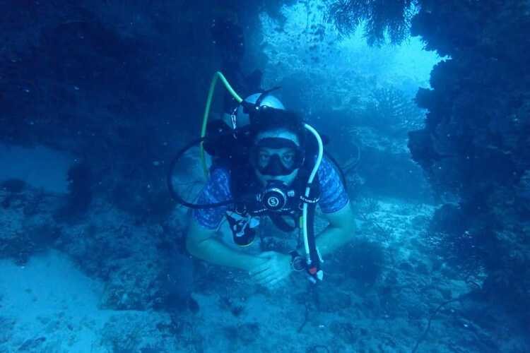 Sea Star Diving Image