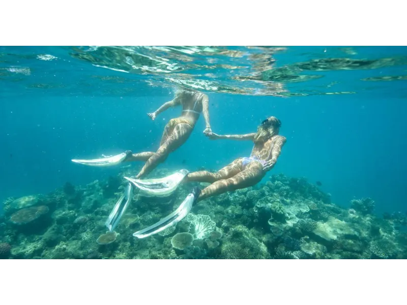 Adrenalin Snorkel & Dive Image