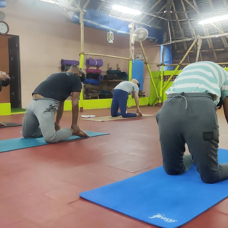 Mokshaa Yoga 