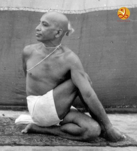 Krishnamacharya Healing & Yoga Foundation