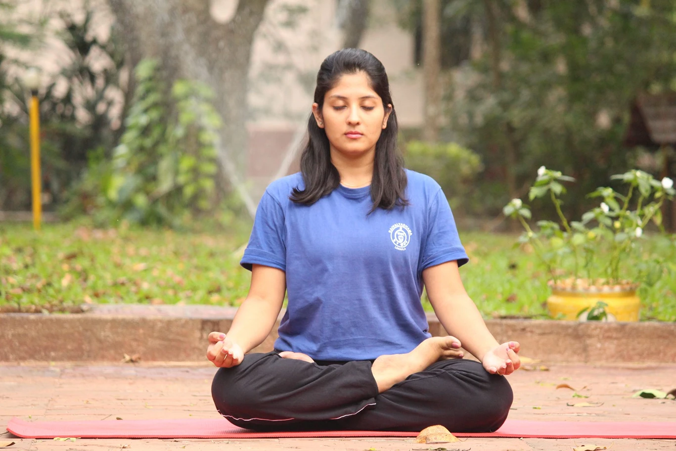 Kaivalyadhama Yoga Classes Image