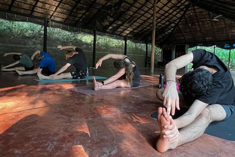 Swan Yoga Retreat Goa