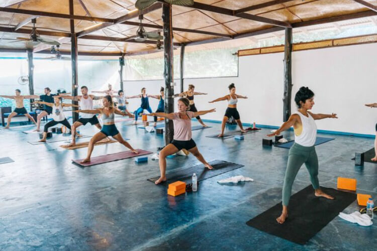 Ananda Yoga & Detox Center 