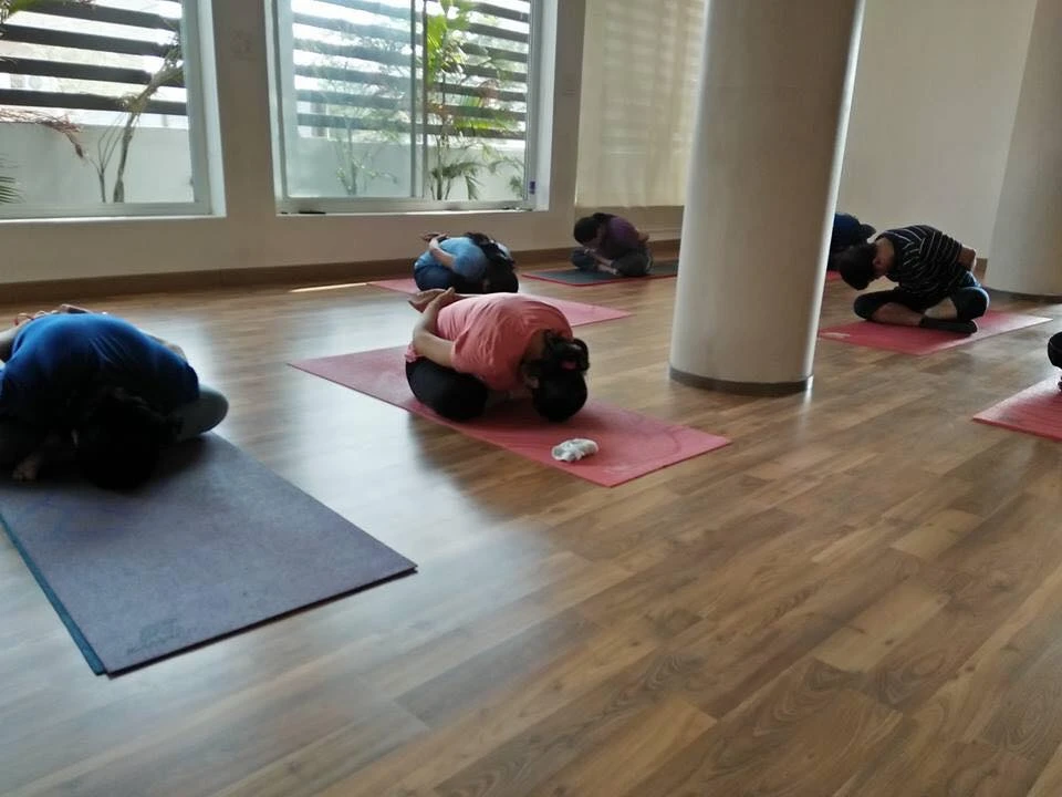 Vidhi's Yoga Art Studio 