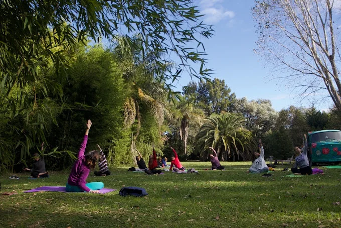 Fundación Vida Natural Yoga Presencial Y Online Argentina