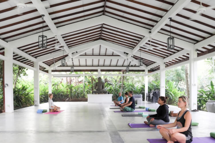 The Plantation Villa Ayurveda And Yoga Resort Image