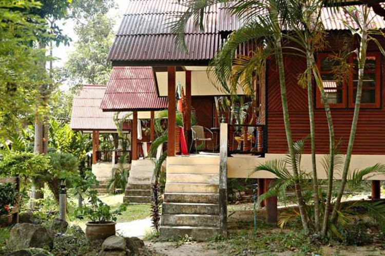 Samma Karuna Yoga, detox & Healing School Koh Phangan, Thailand