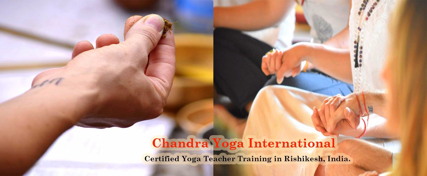 chandra yoga international rishikesh91516007150.jpg