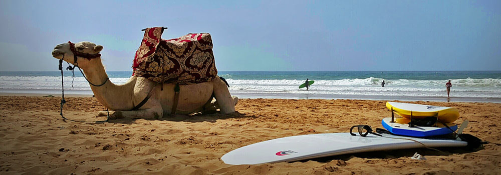 zen surf camp & yoga morocco21517298756.jpg