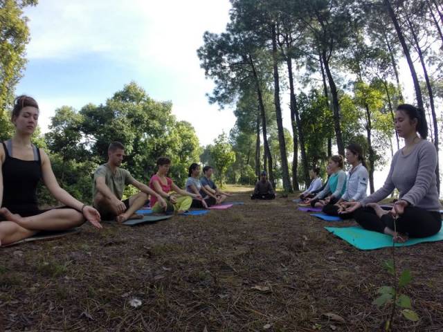 nepal yoga academy & retreat31520244323.jpg