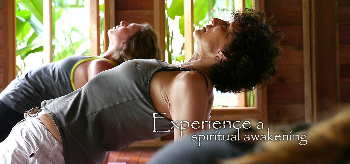 island yoga retreats koh phangan000031521711989.jpg