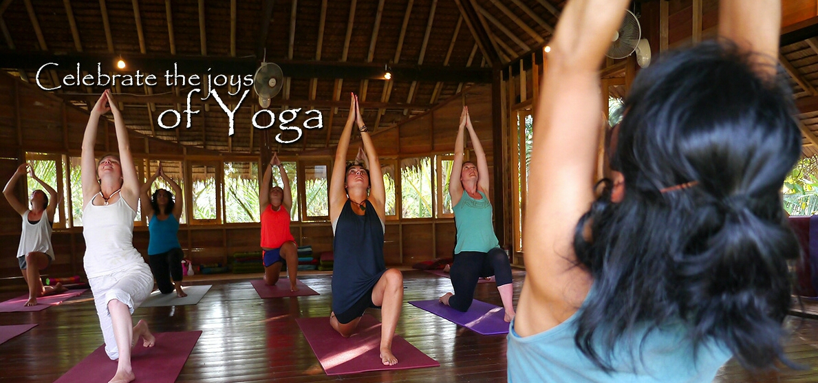 island yoga retreats koh phangan000041521711989.jpg