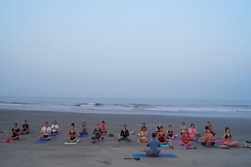 vishuddhi yoga school goa india41525685462.jpg