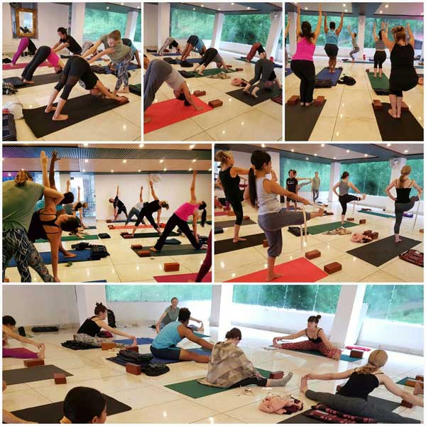 abhinam yoga training centre dharamsala india51528706052.jpg