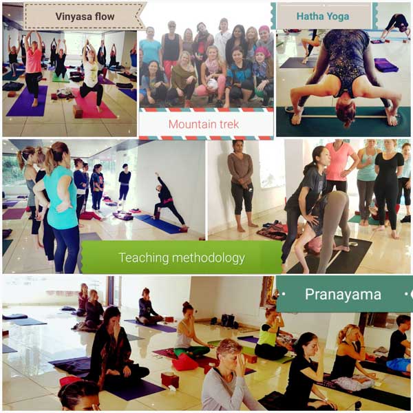 abhinam yoga training centre dharamsala india61528706053.jpg