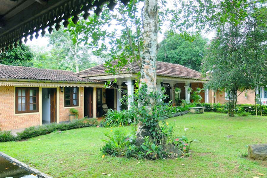 plantation villa retreat ayurvedic nature retreat in kalutara sri lanka000281540896130.jpg